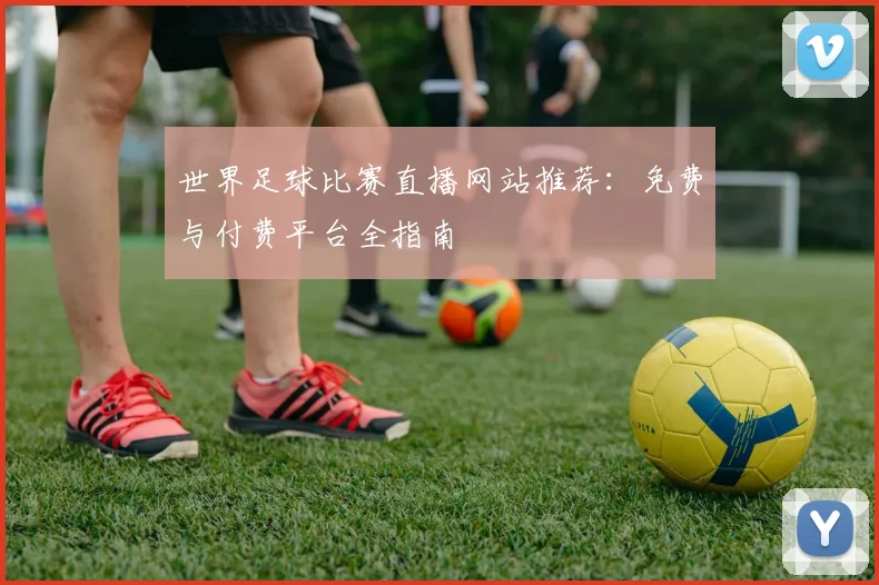 世界足球比赛直播网站推荐:免费与付费平台全指南
