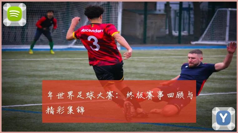 年世界足球大赛:终极赛事回顾与精彩集锦